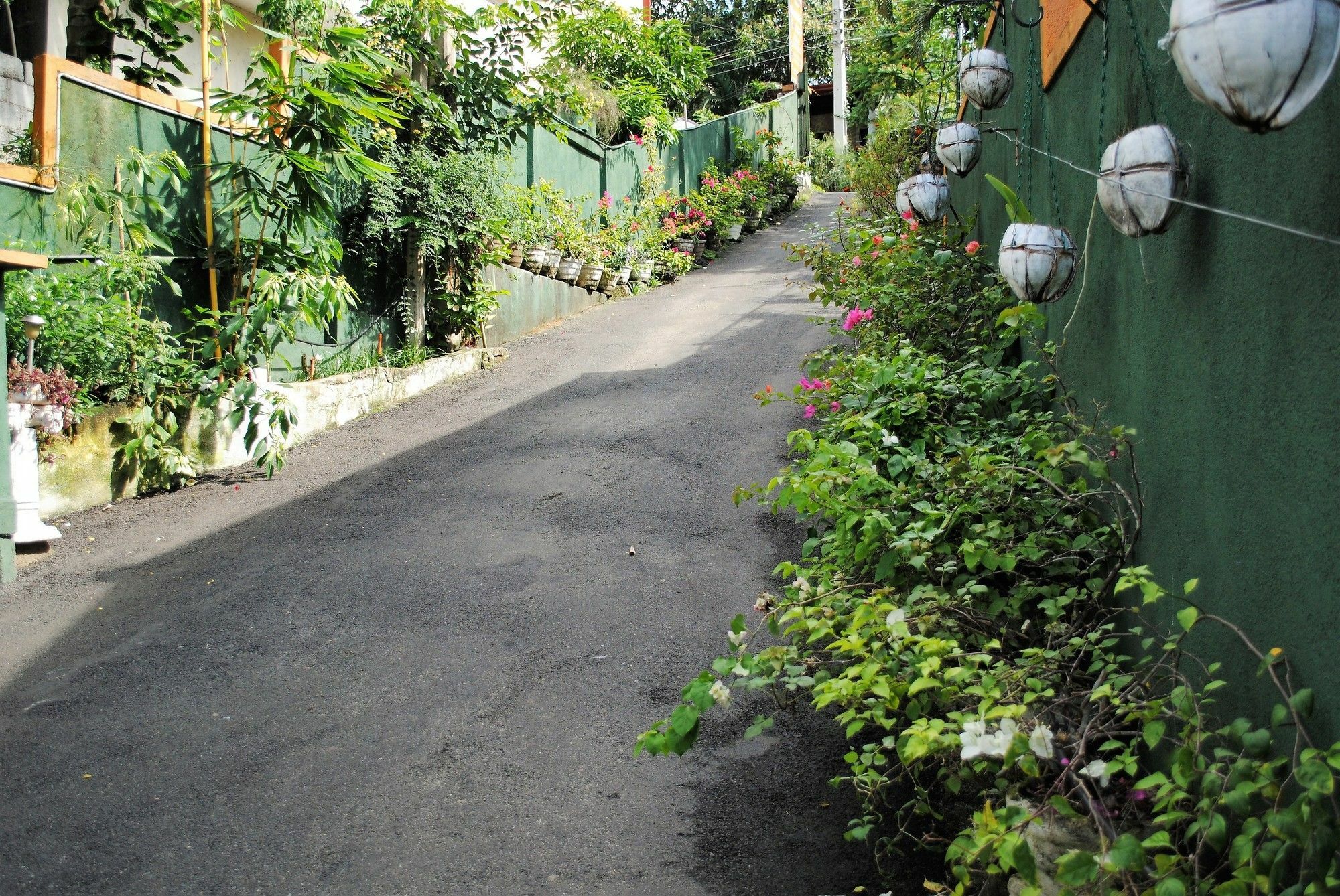 Evening Star Guest Inn Kandy Exterior photo